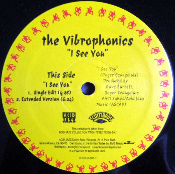 Vibraphonic / A Man Called Adam - I See You / Techno Powers (12") (VG) - Endless Media