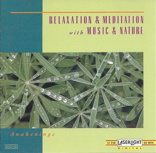 David Miles Huber - Awakenings (CD) (VG) - Endless Media