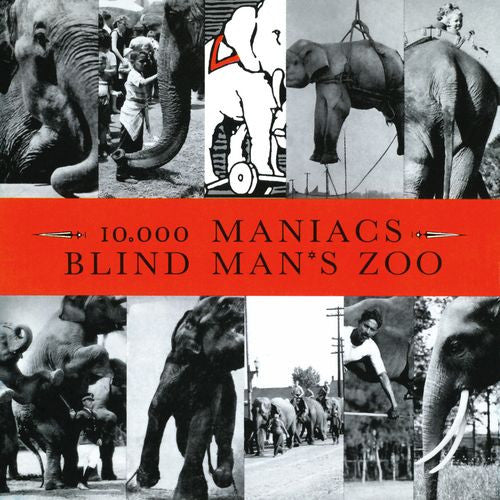 10,000 Maniacs : Blind Man's Zoo (CDr, Album)